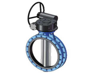 EN 593 Center Line Butterfly Valve FIG.2122/2123