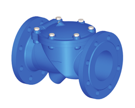 Flex Check Valve FIG.5107