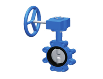 Lug Butterfly Valve FIG.2502